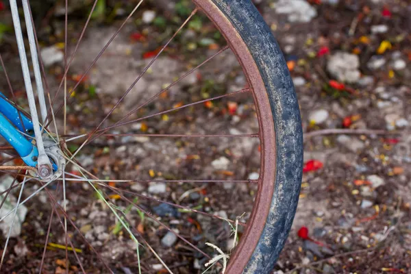 Detalhe da bicicleta velha no fundo — Fotografia de Stock
