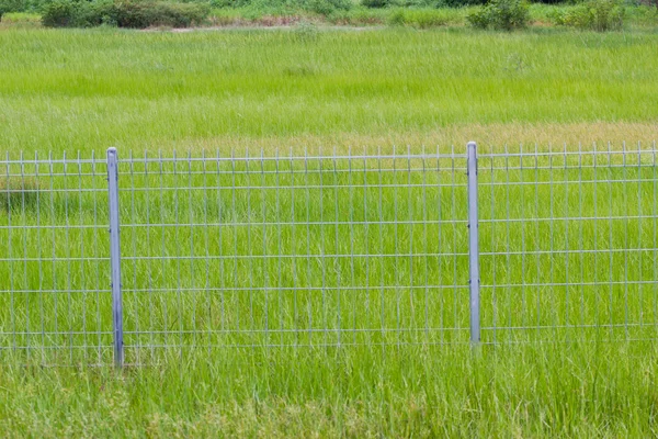 草原上的金属篱笆 — 图库照片