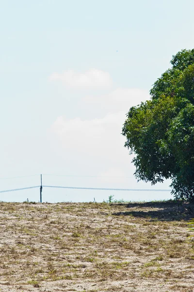 Boer veld vroeg in de ochtend zon. — Stockfoto