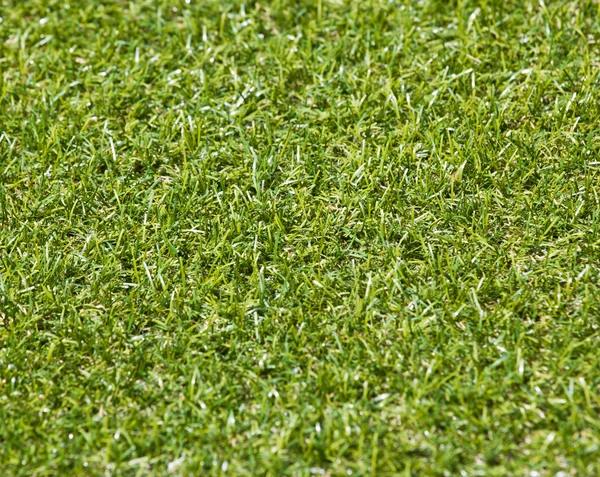 Artificial rolled green grass — Stock Photo, Image