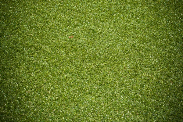 人工の圧延の緑の芝生 — ストック写真