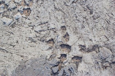 aşınmış Beyaz çimento arka plan