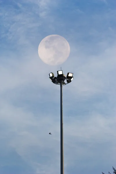 Stadion halogeen plek lichte stok — Stockfoto