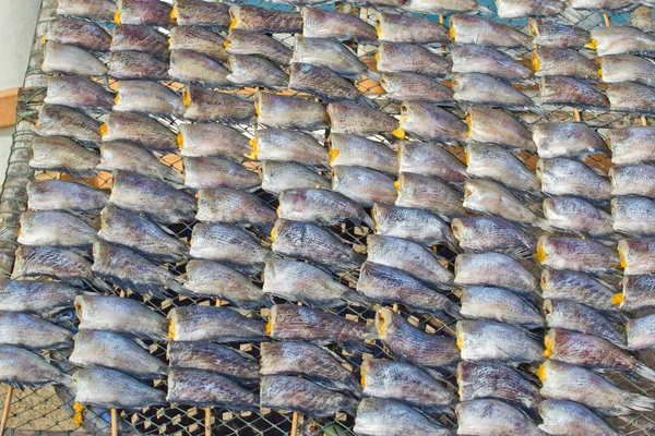 Drying snakeskin gourami fishs in threshing basket — Stock Photo, Image