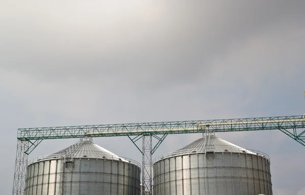 Jordbruk: grupp av silor fylld med spannmål korn mot blu — Stockfoto