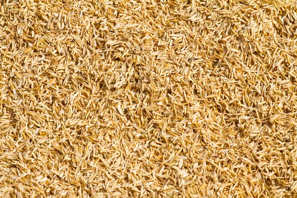 Dry straw background — Stock Photo, Image