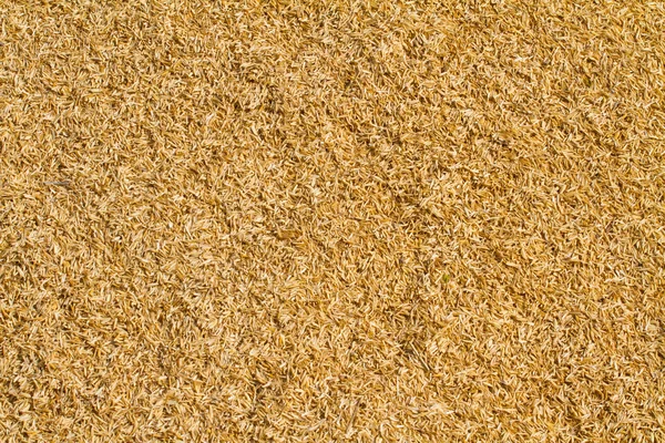 Dry straw background — Stock Photo, Image