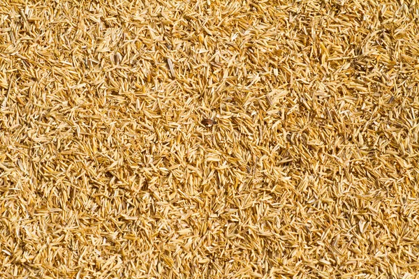 Dry straw background — Stock Photo, Image