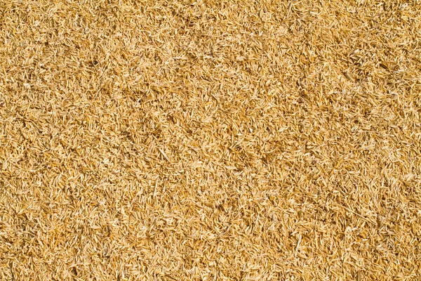Dry straw background — Stock Photo, Image