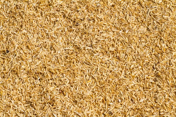 Dry straw background — Stock Photo, Image