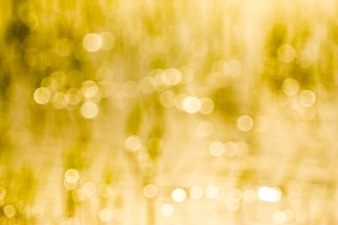 pirinç çiftlikte su damlaları