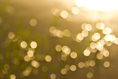 doğa bokeh arka plan