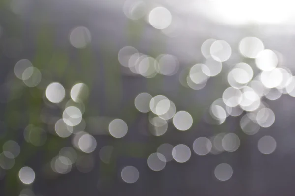 Natuur bokeh achtergrond — Stockfoto