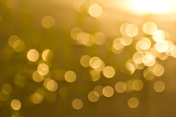 Nature bokeh background — Stock Photo, Image