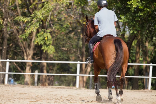 Mann reitet Pferd — Stockfoto