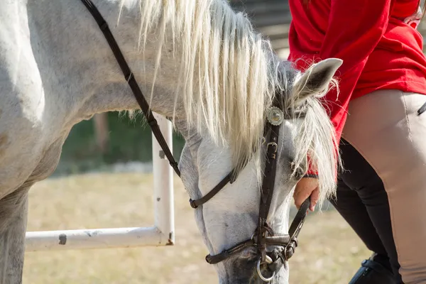 Young woman walking her horse — Stock Photo, Image