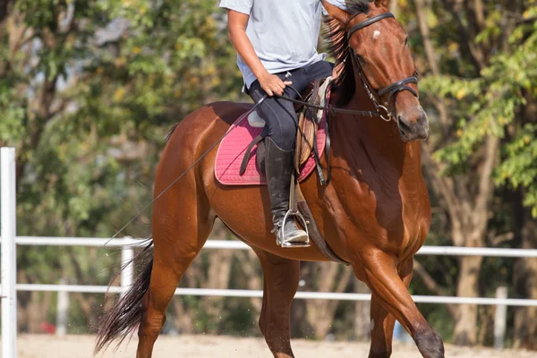 Mann reitet Pferd — Stockfoto