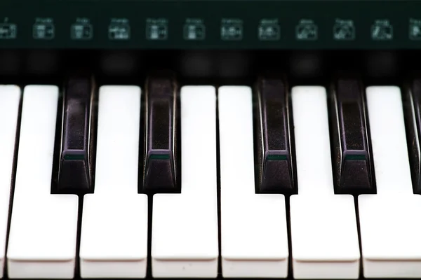 Close up of piano key, front view — Stock Photo, Image