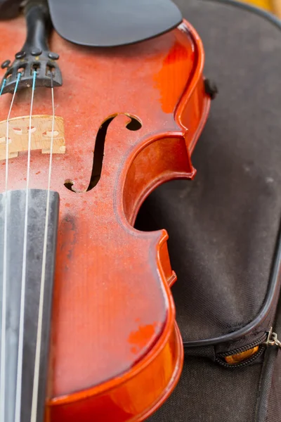 Close up of shiny violin on wooden table, isolated on black back — Stock Photo, Image