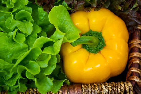 Cesta de verduras frescas —  Fotos de Stock