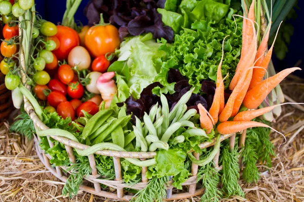 Cesta de verduras frescas —  Fotos de Stock