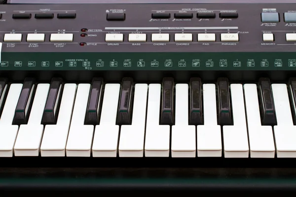 Close up of piano key, front view Stock Image