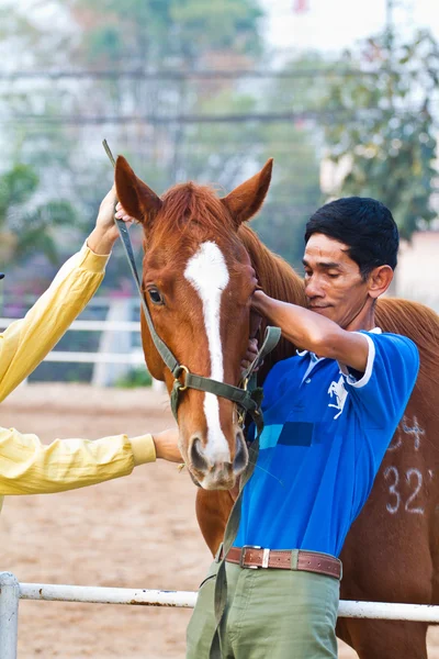 Man rider trains the horse in the riding course — Stock Photo, Image