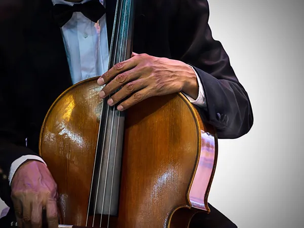 Playing the violin. Musical instrument with performer hands on d — Stock Photo, Image