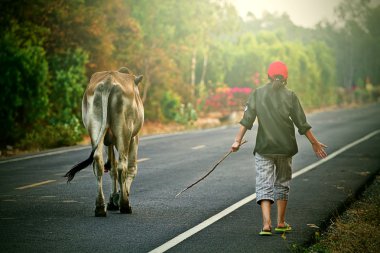 yol hayat kırsal Tayland