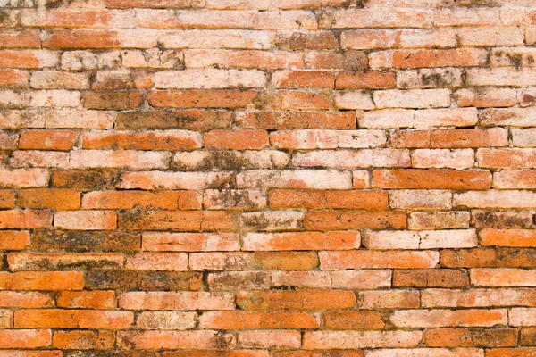 En antik vägg övergavs och föll i ruiner — Stockfoto