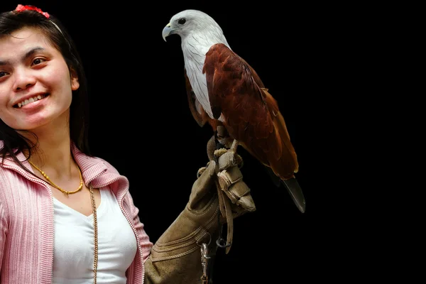 Faucon assis sur la main de la femme du fauconnier — Photo