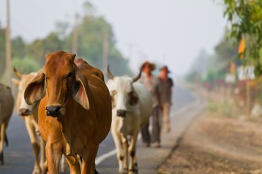 yol hayat kırsal Tayland