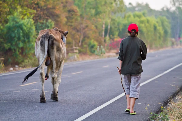 Sätt livet landsbygden i thailand — Stockfoto