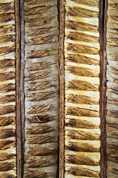 Nahtlos kachelbare Textur des Bodens mit trockenem Gras bedeckt ein — Stockfoto