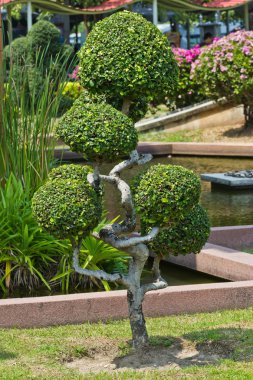 park açık bahçe dekorasyon tarzı cüce