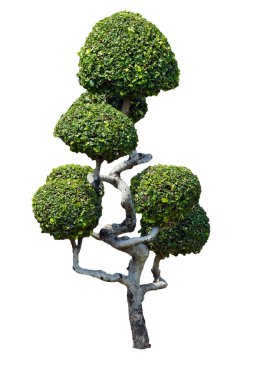 park açık bahçe dekorasyon tarzı cüce