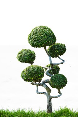 park açık bahçe dekorasyon tarzı cüce