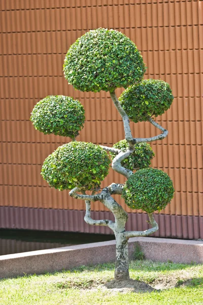 Enano de estilo de decoración de jardín en el parque al aire libre —  Fotos de Stock