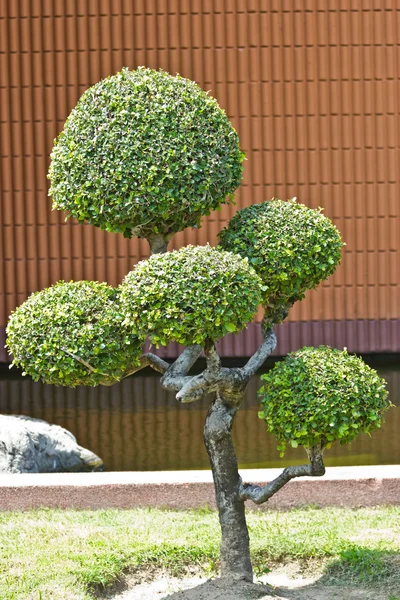 Enano de estilo de decoración de jardín en el parque al aire libre — Foto de Stock