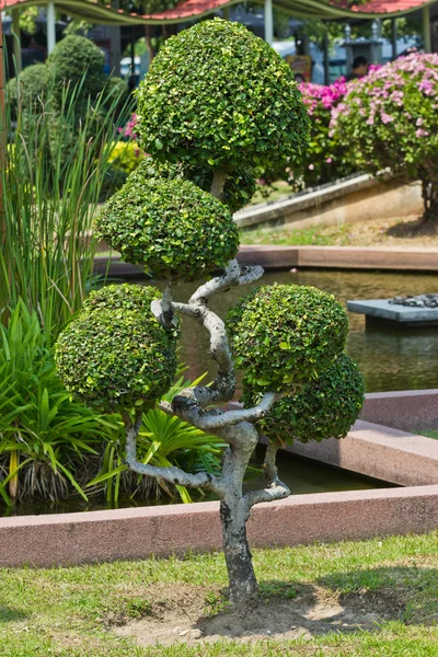 Enano de estilo de decoración de jardín en el parque al aire libre — Foto de Stock