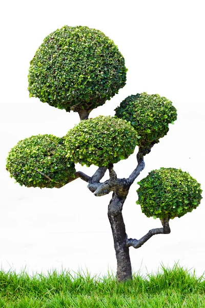 park açık bahçe dekorasyon tarzı cüce