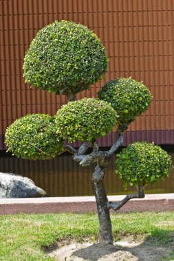 park açık bahçe dekorasyon tarzı cüce