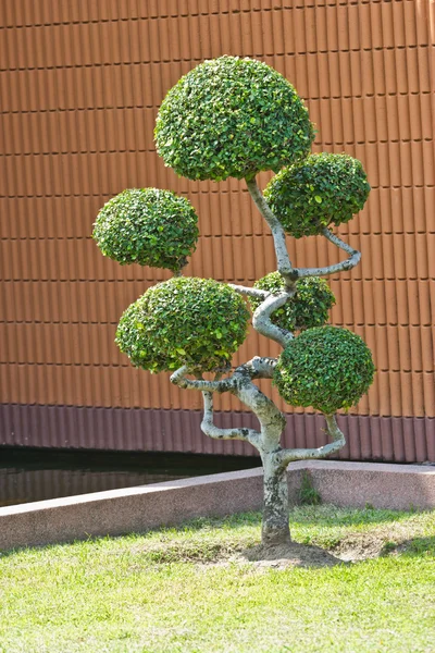 Anão de estilo de decoração de jardim no parque ao ar livre — Fotografia de Stock