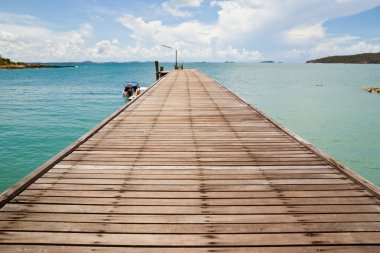 ATI alan dörtnala. kameraya bakıyor.