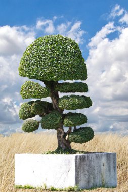 park açık bahçe dekorasyon tarzı cüce