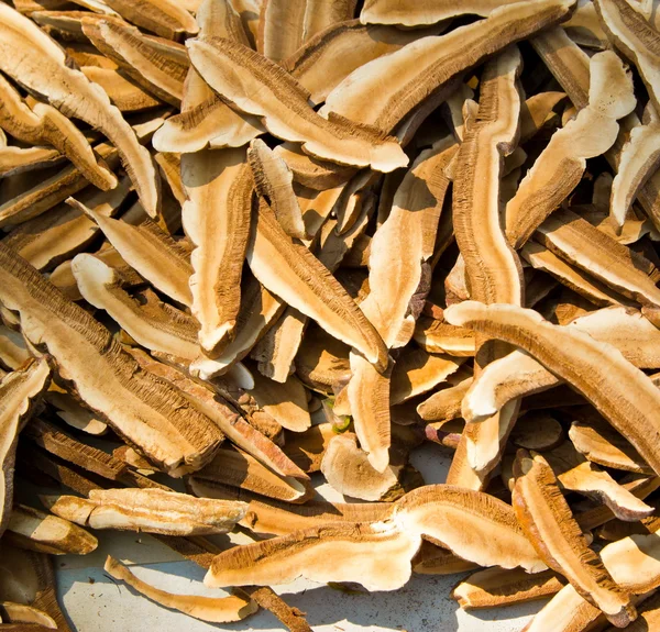 Крупним планом шматок сухий Лінг чжі гриб건조 링 zhi 버섯의 조각을 가까이 — стокове фото