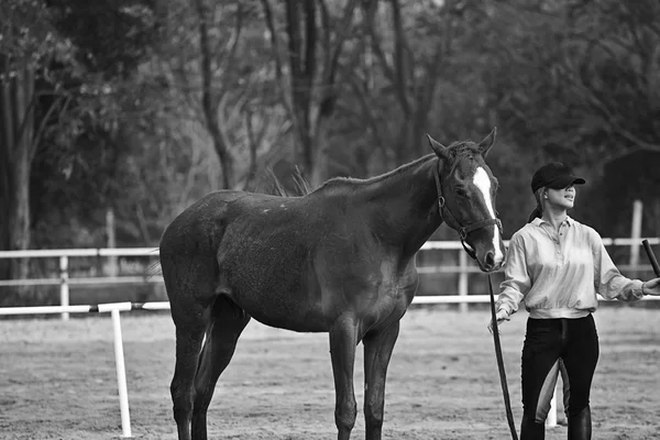 Piloto feminino treina o cavalo no curso de equitação — Fotografia de Stock