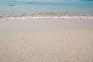 plaj ve tropikal deniz