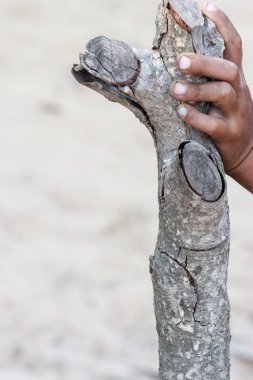 Eller ağaç gövdesi kucaklayan closeup