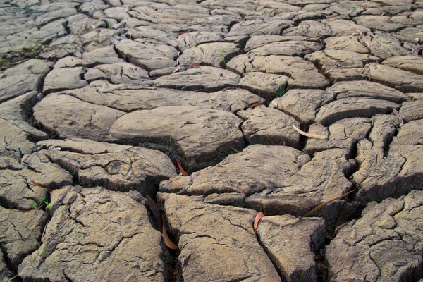 Textura de tierra seca en Tailandia — Foto de Stock